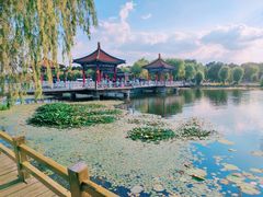 -长春市南湖公园