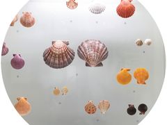 -青岛贝壳博物馆