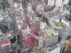 -涩谷全向十字路口