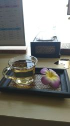 -菲秀家科技美颜SPA生活馆