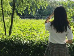 -合肥滨湖国家森林公园