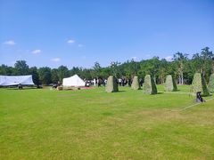 -上海海湾国家森林公园