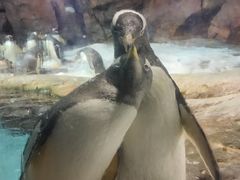 -波塞冬海底世界
