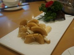 新鲜猪肚菌-湯系·煲汤手艺人(东二环泰禾广场店)