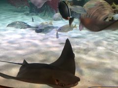 -沈阳海洋探索中心