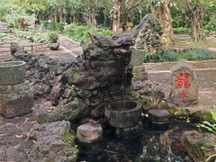 -海口火山口国家地质公园