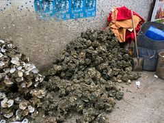 -濠轩阁特色生蚝火锅(水湾路店)