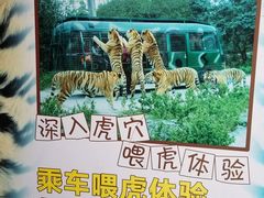 -深圳野生动物园