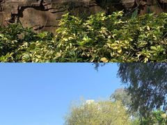 -广州动物园