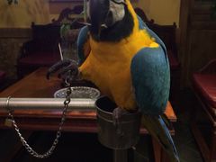 那家小馆(中关村店)-那家小馆•北京菜•烤鸭(中关村店)