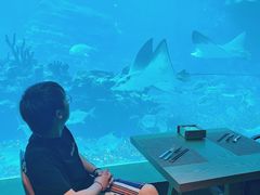 -海棠湾洲际-涛·海底餐厅·美人鱼·自助餐·海底隧道