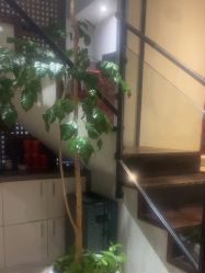 -香秀空间科技抗衰·美容中心