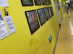 -杨梅红艺术教育(凤城教学中心)