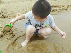 -碧海金沙