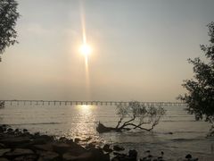 -宝安西湾红树林湿地公园