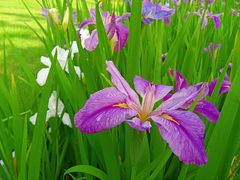 -漕溪路(地铁站)