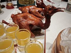 -大鸽饭(动物园店)