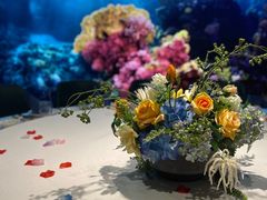 -海游荟·海洋文化餐厅(福田店)