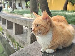 -西园戒幢律寺