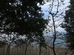 -广州市石门国家森林公园