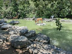 -周口店北京人遗址公园