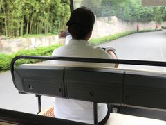 -天目湖涵田半山温泉