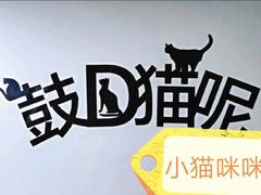 -鼓捣猫呢主题猫咖店