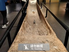 -温州博物馆