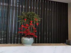 -企巴兔·注册公司代理记账