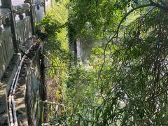 -水濂山森林公园