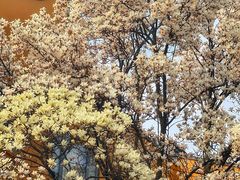-龙华寺