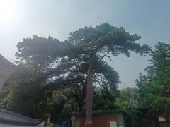 -阳台山自然风景区