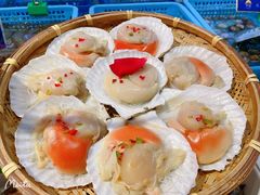 -早船·深海鱼锅泡饼(沧州店)