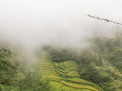 -武隆天坑寨子景区