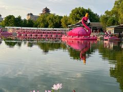 -莲花池公园