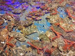 -澜悦港海鲜体验主题餐厅