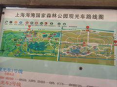 -上海海湾国家森林公园