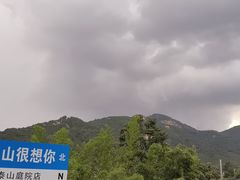 -蘇河湾·新鲁菜·泰山宴(泰山店)
