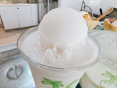 经典椰子冰沙-Co+Nut+Ink(圣淘沙店)