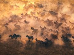 -罗红摄影艺术馆