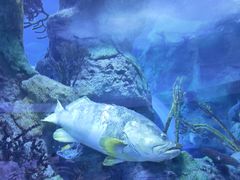 -珠海长隆海洋王国