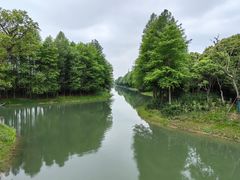 -贡湖湾湿地公园