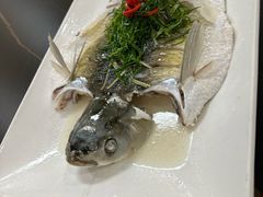 -南海食街(佛冈店)