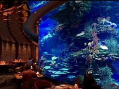 -迪拜帆船酒店海底餐厅