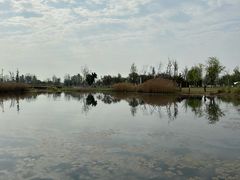 -白鹭湾湿地公园