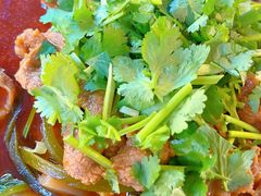 -青羊区不同味冒菜店(青羊店)