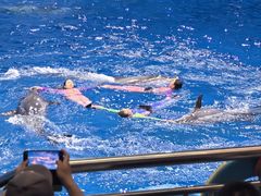 -多彩贵州城极地海洋世界