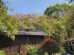 -咸宁万豪温泉谷度假区