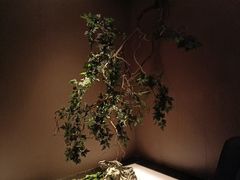 -儒之堂·足道养生SPA影院式(万融城店)