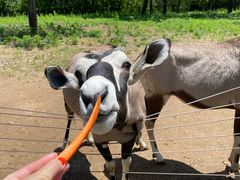 -大连森林动物园